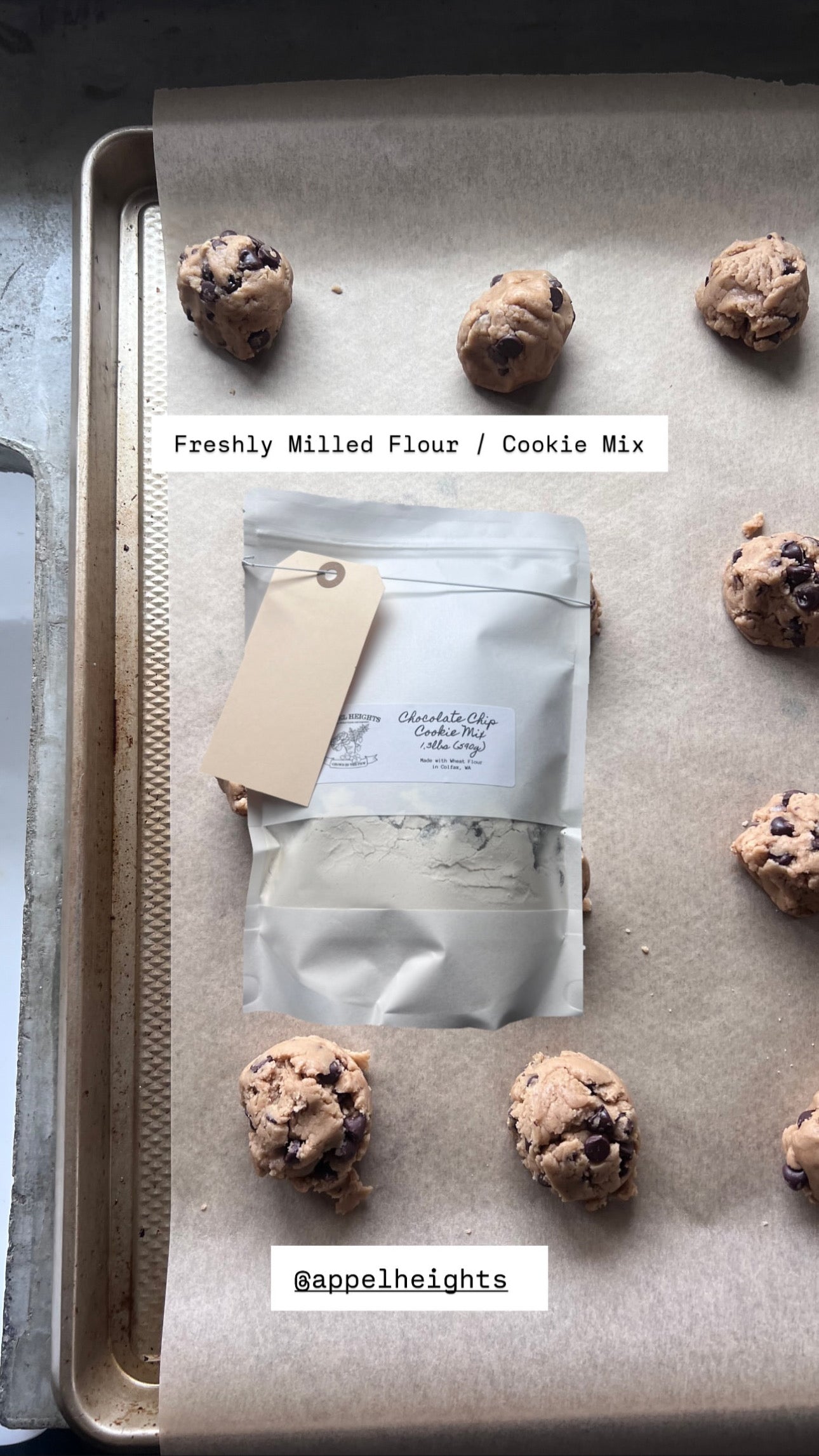 Cookie Mix - Chocolate Chip Cookies