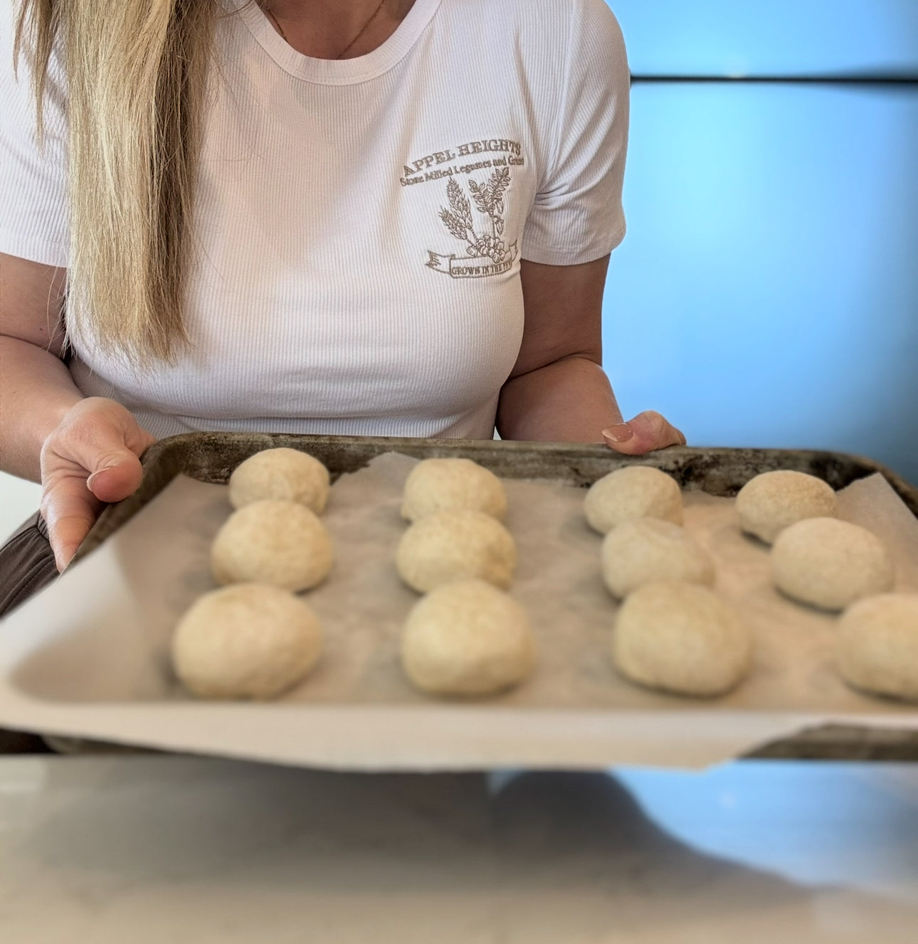 Whole Wheat Dinner Rolls 1 dozen